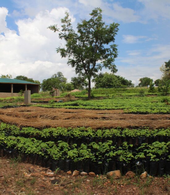 Environnement et Climat