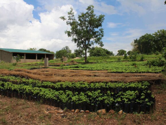 Environnement et Climat