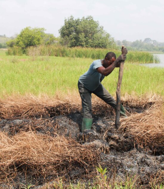 Développement éco et social