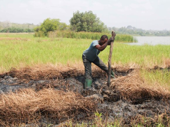 Développement éco et social