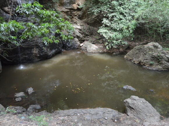 Pollution environnementale et santé des communautés : ECOBENIN INTERNATIONAL agit pour un cadre de vie sain.