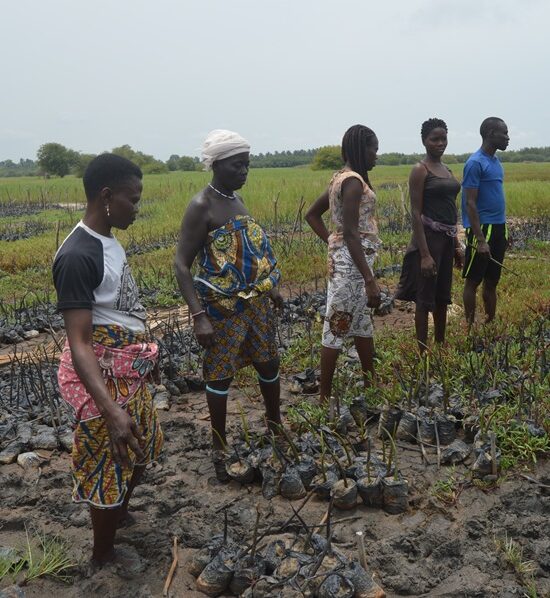 Entrepreneuriat vert et économie locale : ECOBENIN INTERNATIONAL au service de la croissance inclusive