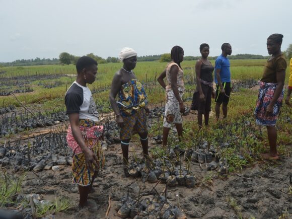 Entrepreneuriat vert et économie locale : ECOBENIN INTERNATIONAL au service de la croissance inclusive