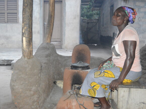 Face aux dérèglements climatiques : ECOBENIN INTERNATIONAL en première ligne pour l’adaptation des territoires